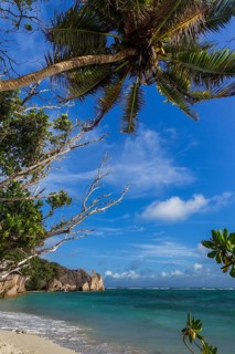 Beach Anse Source D'Argent