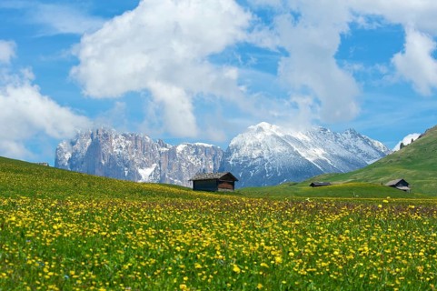 Alpine huts on the Alpe di Siusi with Sassolungo and Sassolungo