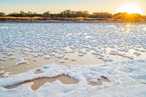 Salt production