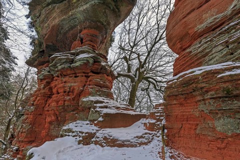 Natural Monument