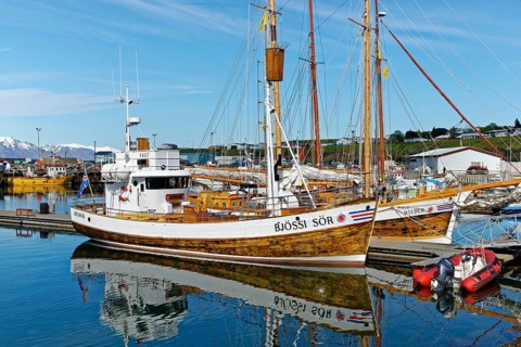 Old fishing boats are used for whale-watching