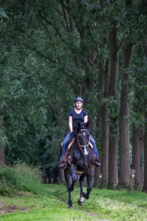 Rider