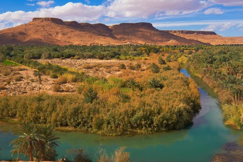 Tafilalet Oasis