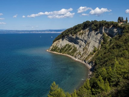 View of the cliffs of Strunjan and Moon Bay