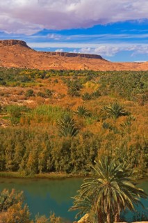 Tafilalet Oasis