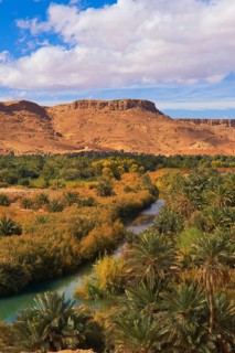 Tafilalet Oasis
