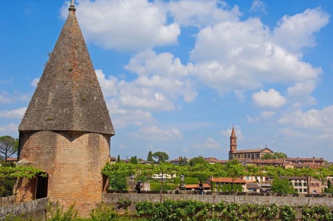 Albi
