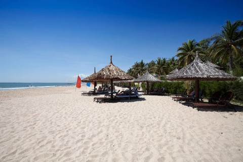 Beach with palm tree sunshade