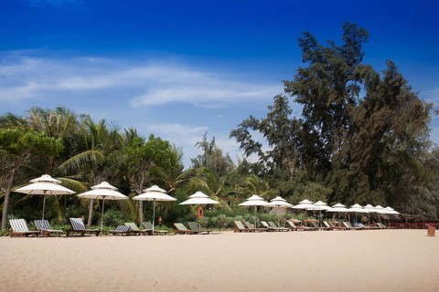 Sunbeds on the beach
