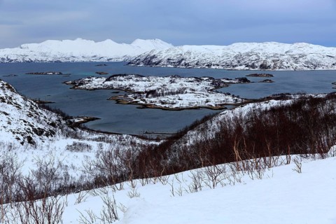 Skarsfjord