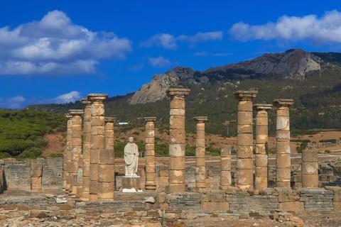 Bolonia