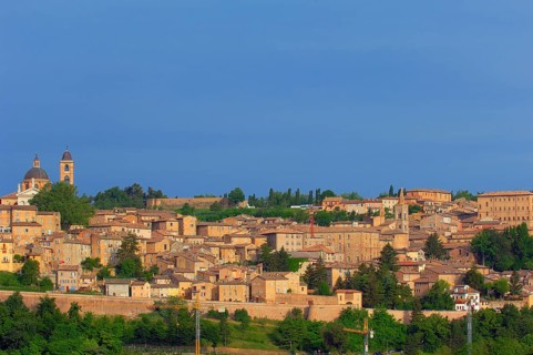 Urbino