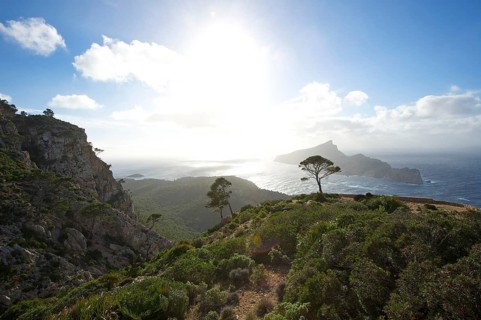 View of Sa Dragonera island