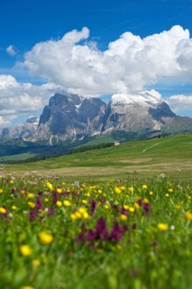 Alpe di Siusi with Sassolungo and Sassolungo