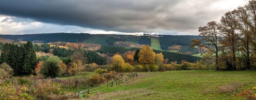 Ardennes