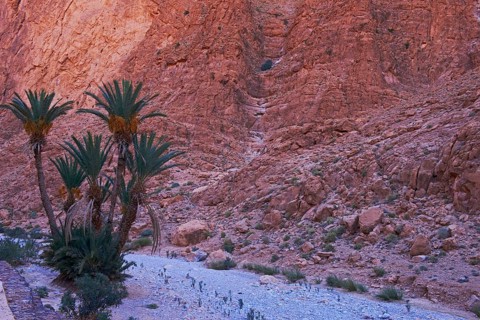 Todra Gorge