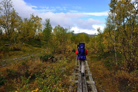 Trekking Nikkaluokta