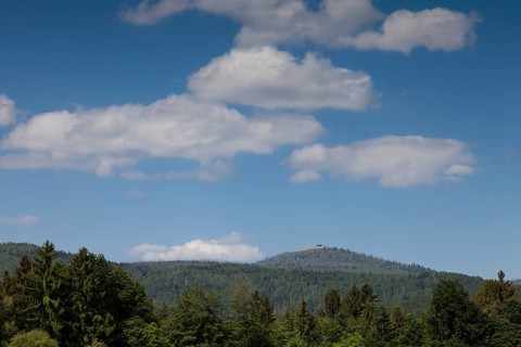 View to the Lusen
