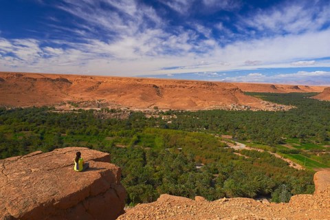 Tafilalet Oasis