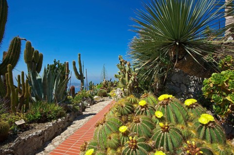 Jardin Exotique in Eze