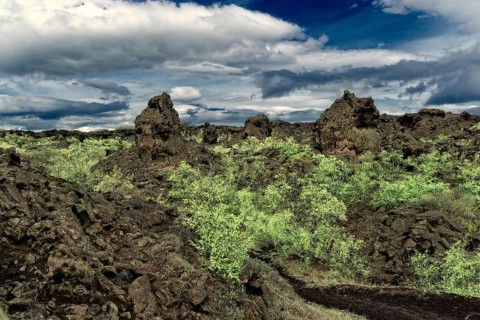 Lava rocks in Dimmuborgir