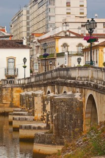 Velha Renaissance Bridge over the Nabao River