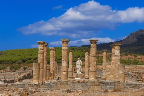 Bolonia