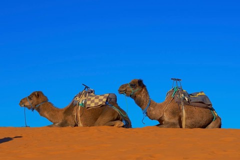Merzouga