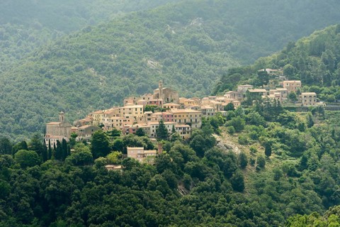 Poggio