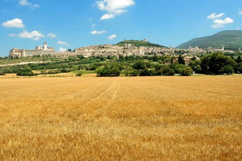 Assisi