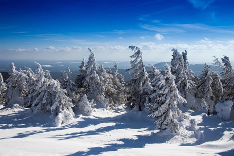Harz