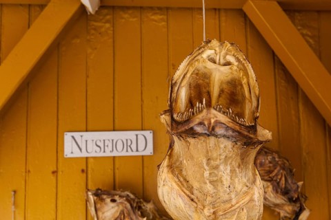 Dried fish