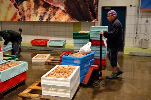 Fish auction