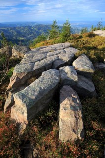 Black Forest National Park