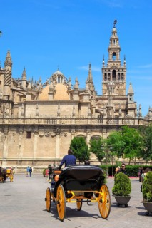 Cathedral and Giralda Tower