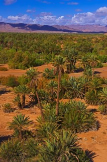 Djebel Kissane