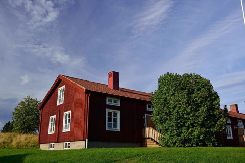 Tullgarden