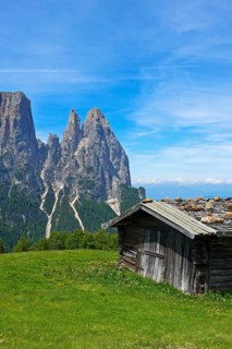 Alpine pasture on the Alpe di Siusi with Sciliar
