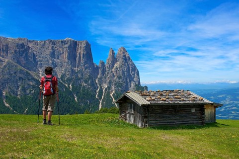 Alpine pasture on the Alpe di Siusi with Sciliar