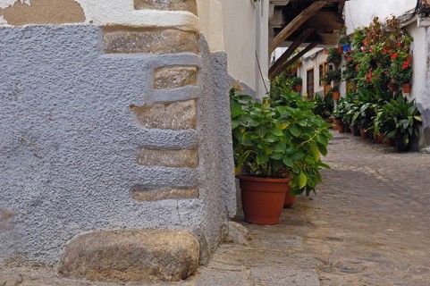 Hervas
