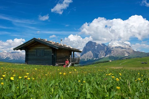 Alpine huts on the Alpe di Siusi with Sassolungo and Sassolungo