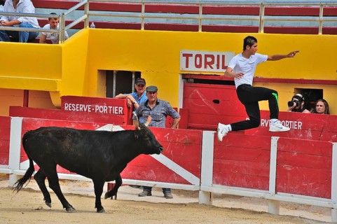 Bullfight