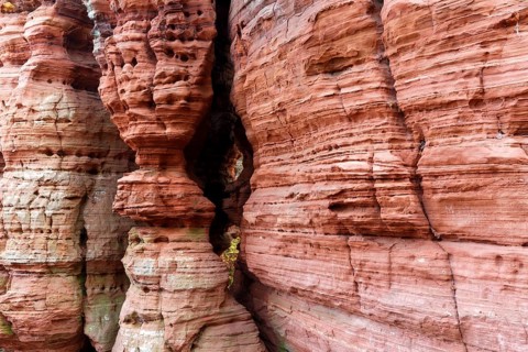 Natural Monument