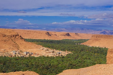Tafilalet Oasis