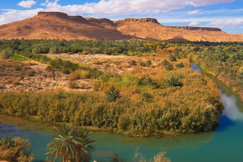 Tafilalet Oasis