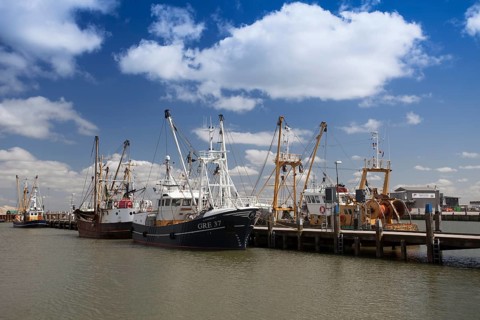 Fishing vessels in the fishing port of Roemoe
