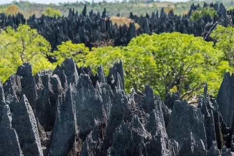 Karst landscape