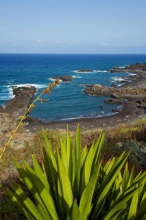 Playa de los Cancajos