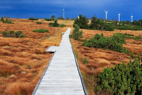Black Forest National Park