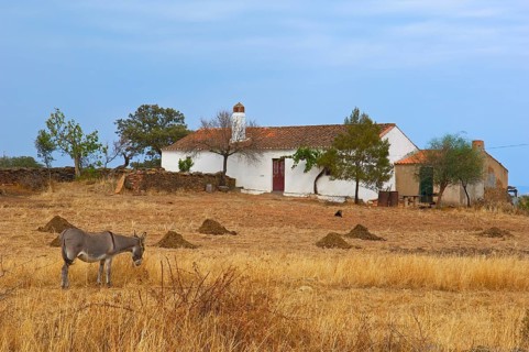Monsaraz
